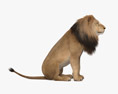 Lion assis Modèle 3d