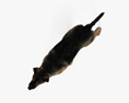 Walking German Shepherd Modèle 3d