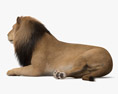 Lying Lion HD 3d model