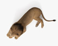 Leão mentiroso Modelo 3d