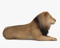 横たわるライオン 3Dモデル