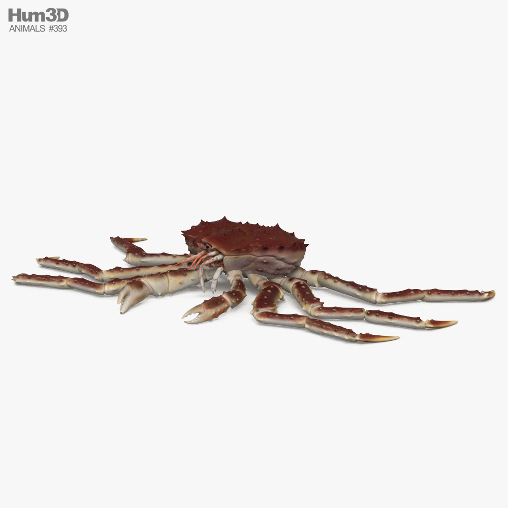 Red King Crab HD 3D model