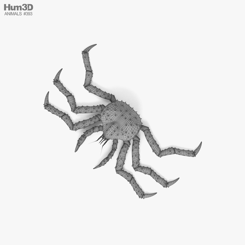 Red King Crab HD 3D model - Animals on Hum3D