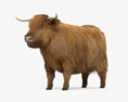 Highland Cattle 3Dモデル