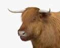 Highland Cattle 3Dモデル