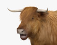 Highland Cattle Modelo 3D
