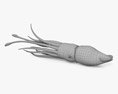 Histioteuthis (Cock-eyed squid) 3D-Modell