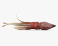 Histioteuthis (Cock-eyed squid) Modelo 3d