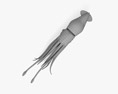 Histioteuthis (Cock-eyed squid) 3D-Modell