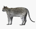虎貓 3D模型