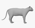 虎貓 3D模型
