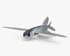 Flying Fish HD 3D model