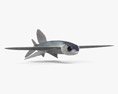 Pesci volanti Modello 3D