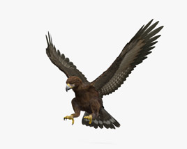 Golden Eagle Attacking HD 3D model