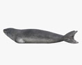 Seeleopard 3D-Modell