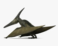 無齒翼龍屬 3D模型