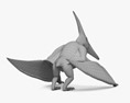 無齒翼龍屬 3D模型