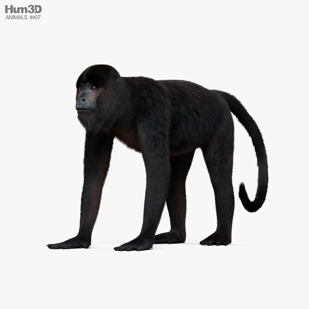 Black Howler 3D model