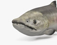 Chum Salmon HD 3d model