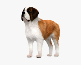 聖伯納犬 3D模型