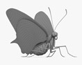 Machaon Modèle 3d
