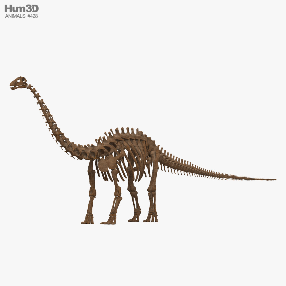 Esqueleto de brontosaurio Modelo 3D