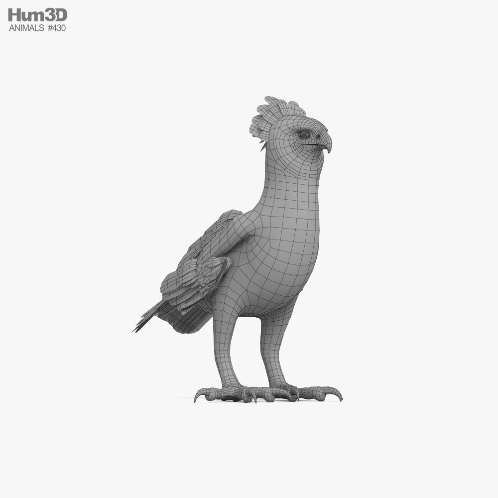 Велика Гарпія 3D модель - Тварини на Hum3D