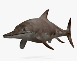 切齿鱼龙属 3D模型