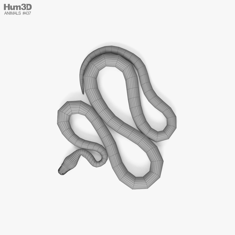 Common Python 3d Model Animals On Hum3d - vrogue.co