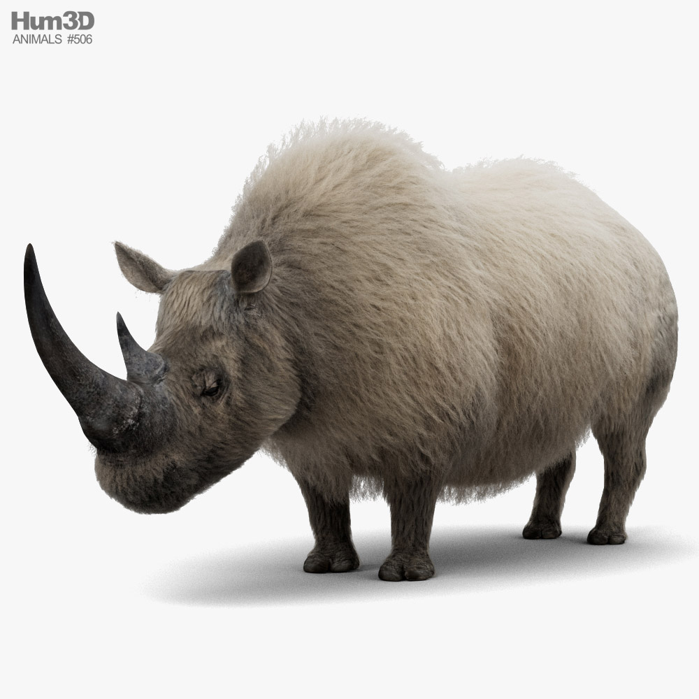 Woolly Rhinoceros 3D model - Animals on Hum3D