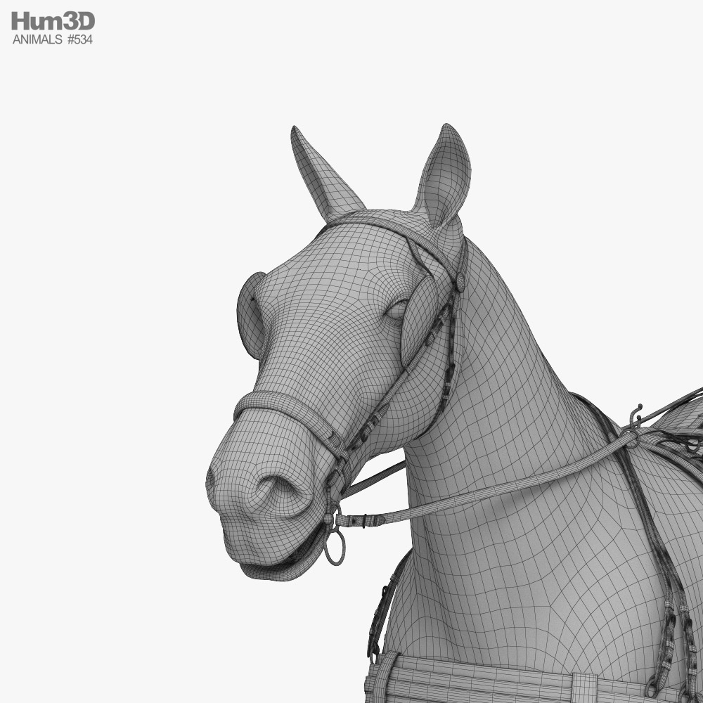 Horse Harness 3D модель - Тварини на Hum3D