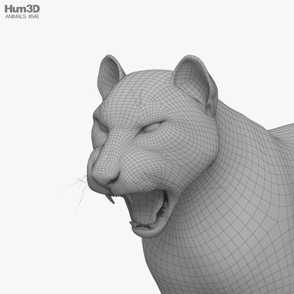 Tiger Roaring 3D model - Animals on Hum3D
