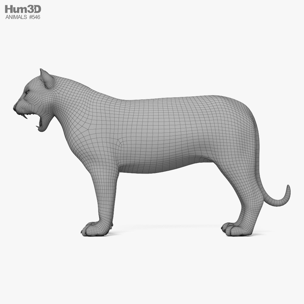 Tiger Roaring 3D model - Animals on Hum3D