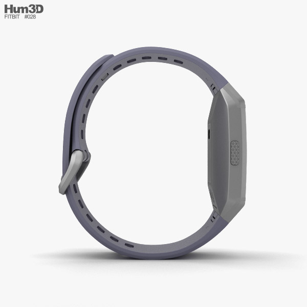 fitbit ionic silver grey