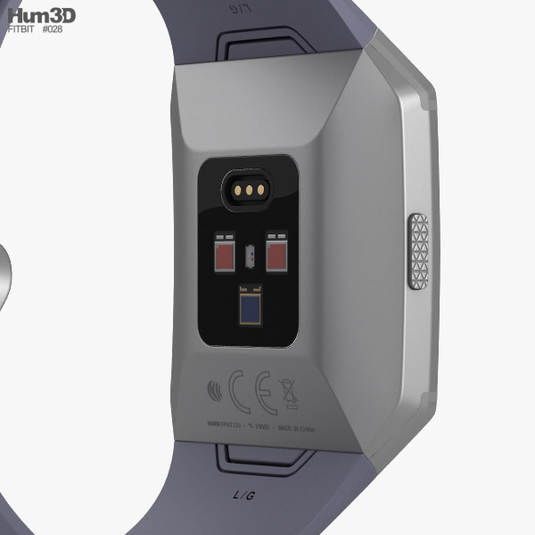 fitbit ionic silver gray
