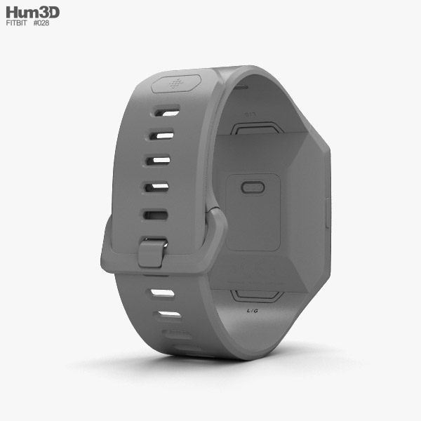 fitbit ionic silver grey