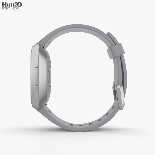 gray fitbit versa band