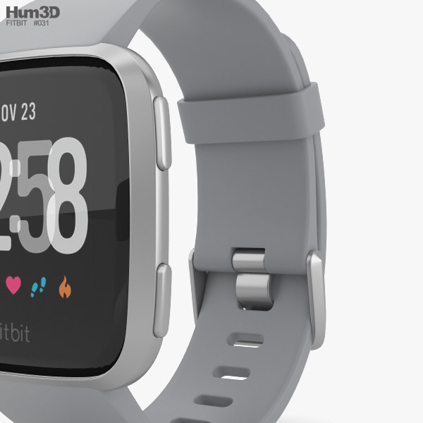 gray fitbit versa band
