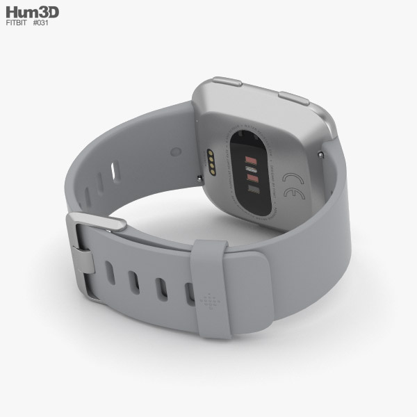 gray fitbit versa band