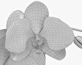 Orchid 3d model