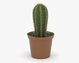 3D-Modell von Kaktus
