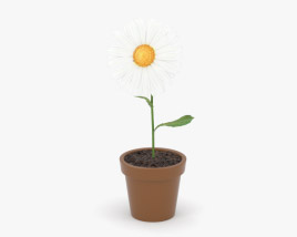 Flower in pot 3D model
