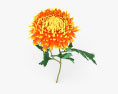 Chrysanthemum 3d model