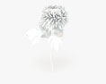 Chrysanthemum 3d model