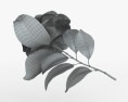 Camellia 3d model