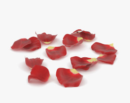 Rose Petals 3D model
