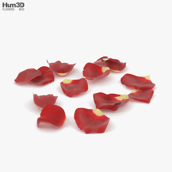 Rose Petals 3D model