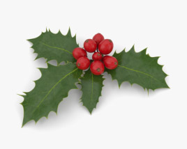 Holly 3D model
