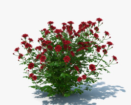 Rose Bush 3D model