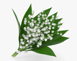 Lily of the valley 3D model